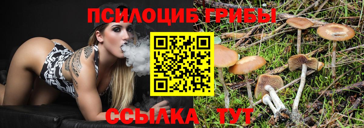 Галлюциногенные грибы Psilocybine cubensis  Вход с VPN  Псилоцибиновые грибы прущие грибы  Магадан 